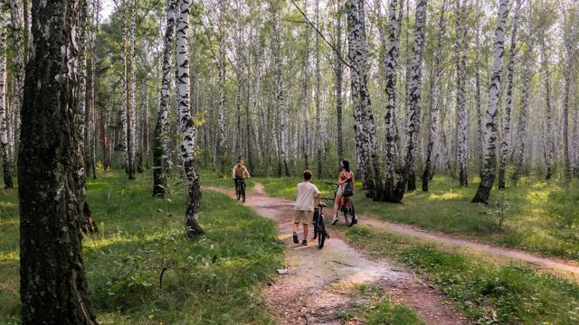 from-grandparents-to-grandkids-these-huffy-rides-get-the-whole-family