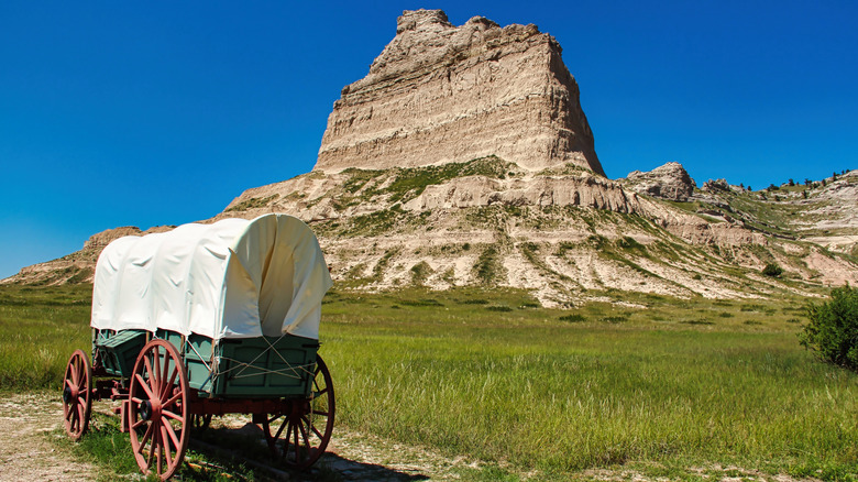 10 foods pioneers cooked and ate on the Oregon Trail