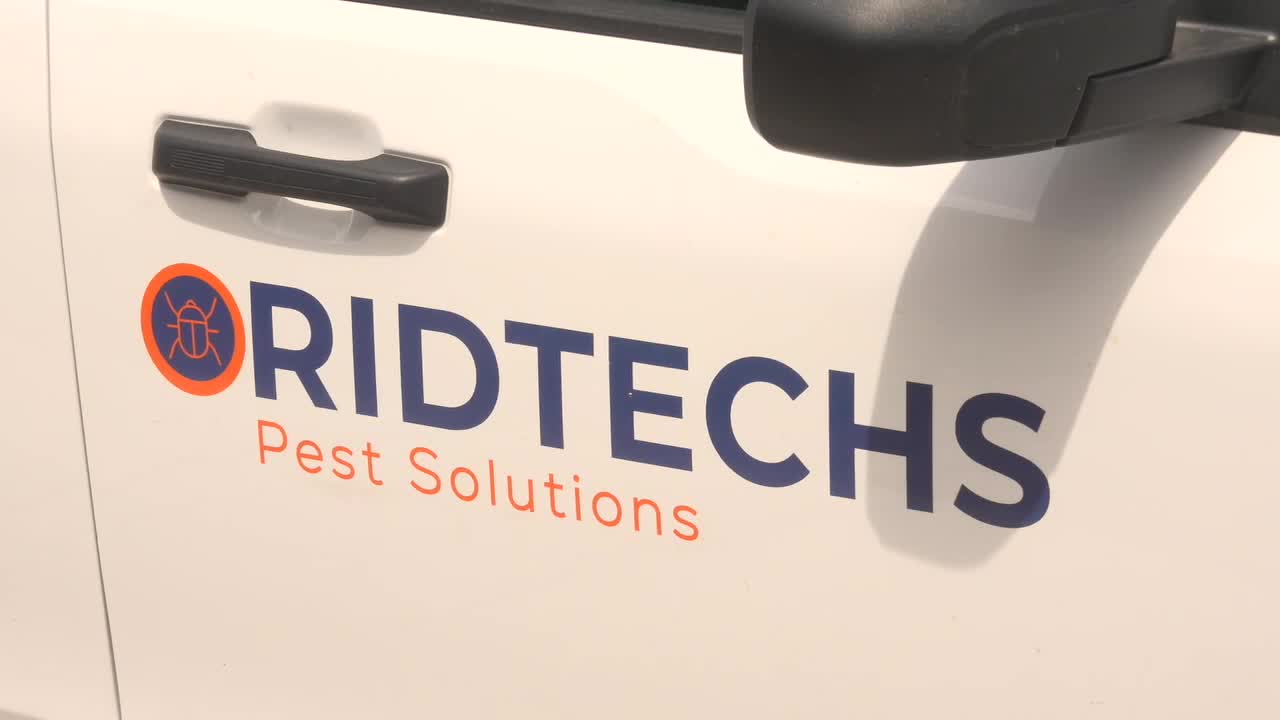 Henderson pest control company offers free treatments as Asian ...