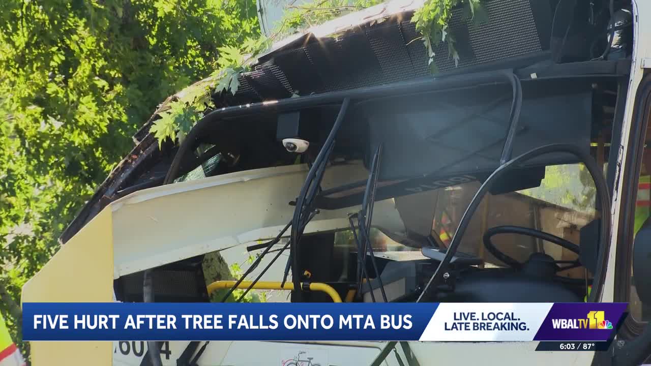 5 injured after MTA bus damaged by falling tree