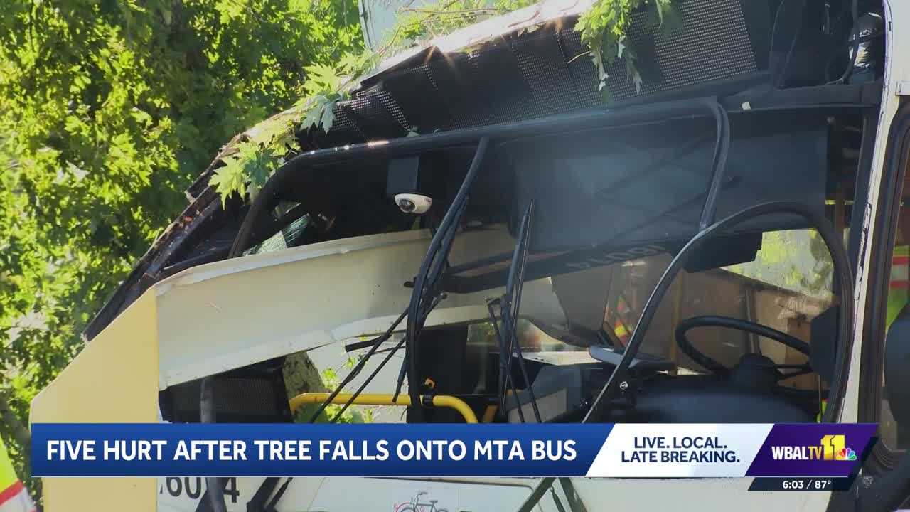 5 injured after MTA bus damaged by falling tree