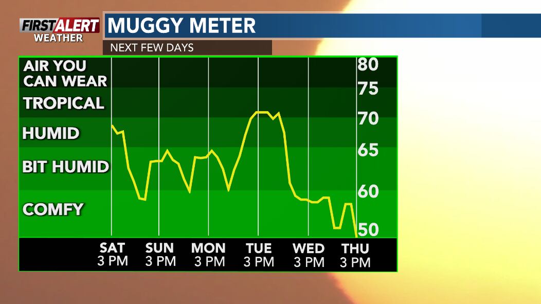 Isolated showers or a storm Friday evening, warm holiday weekend ahead
