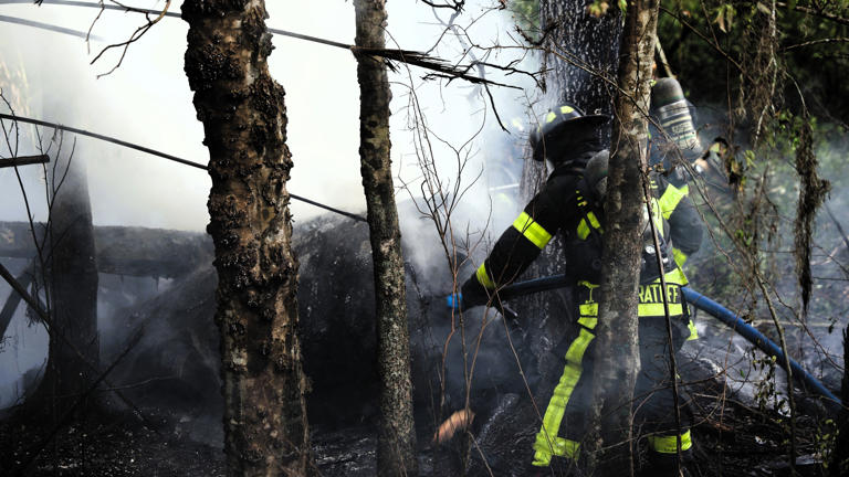 Prominent Tampa doctor, nurse practitioner killed in plane crash