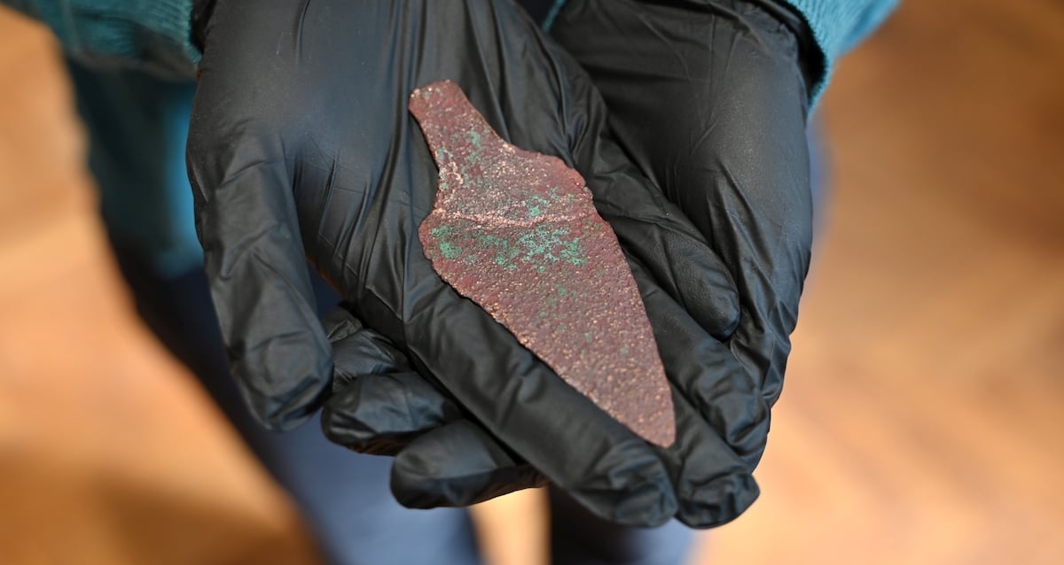 ‘Extremely rare' 4,000-year-old copper dagger found in Polish forest