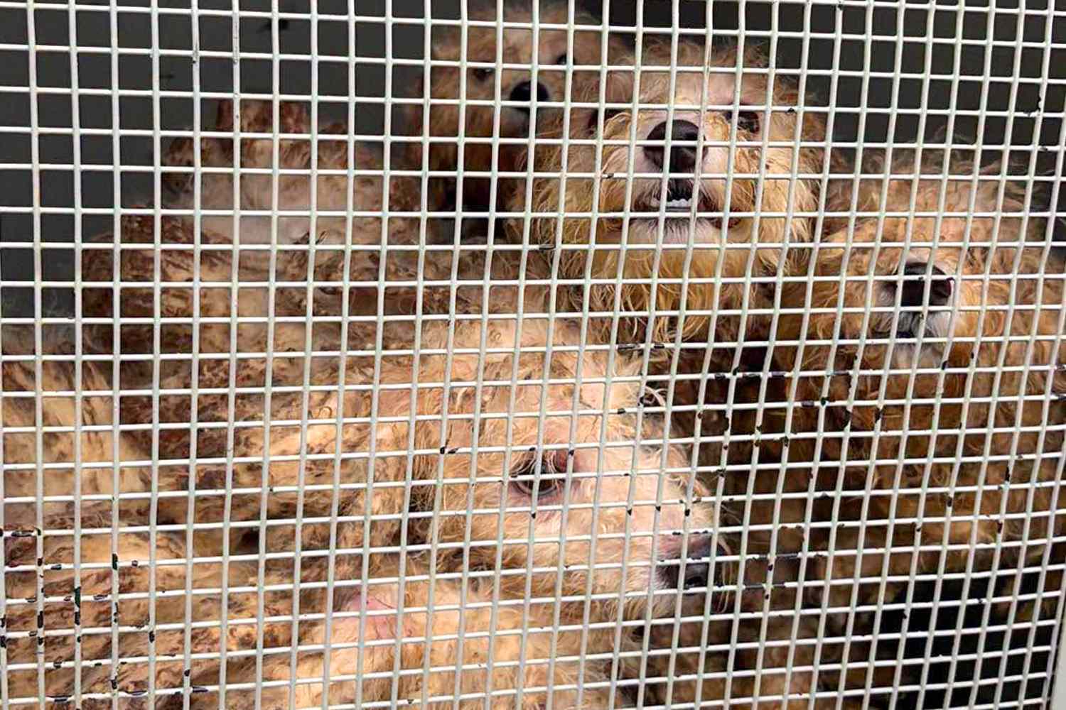https://img-s-msn-com.akamaized.net/tenant/amp/entityid/AA2bAr2d.img?w=768&h=512&m=4&q=33