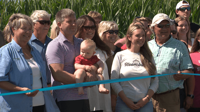 Bloomsbury Farm reveals its 2026 corn maze design
