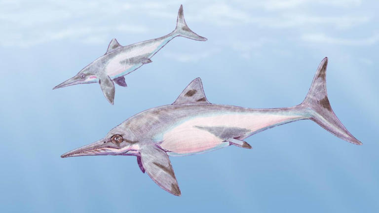 El deshielo de un glaciar deja al descubierto un enorme yacimiento de reptiles marinos prehistóricos