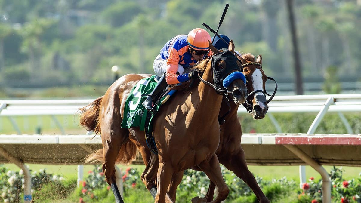 Bob Baffert saddles Holmby, Miss Monica in Del Mar Debutante