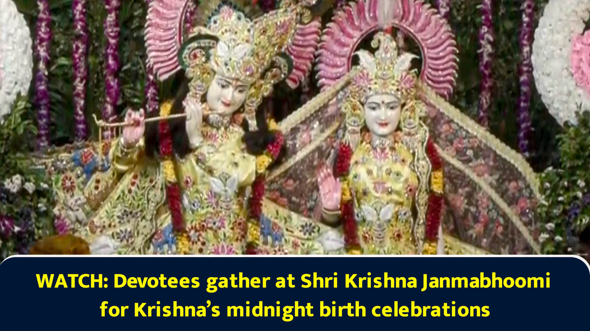 Watch: Devotees gather at Shri Krishna Janmabhoomi for Krishna’s ...