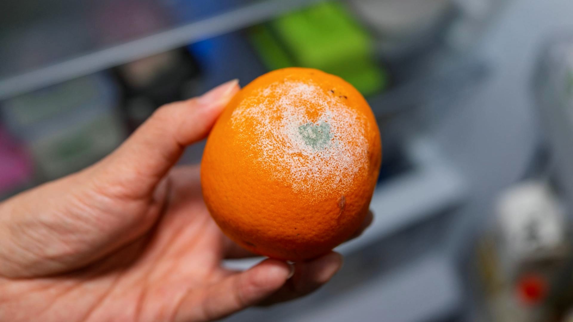 Quitar el moho de las frutas y verduras frescas no las hace seguras ...