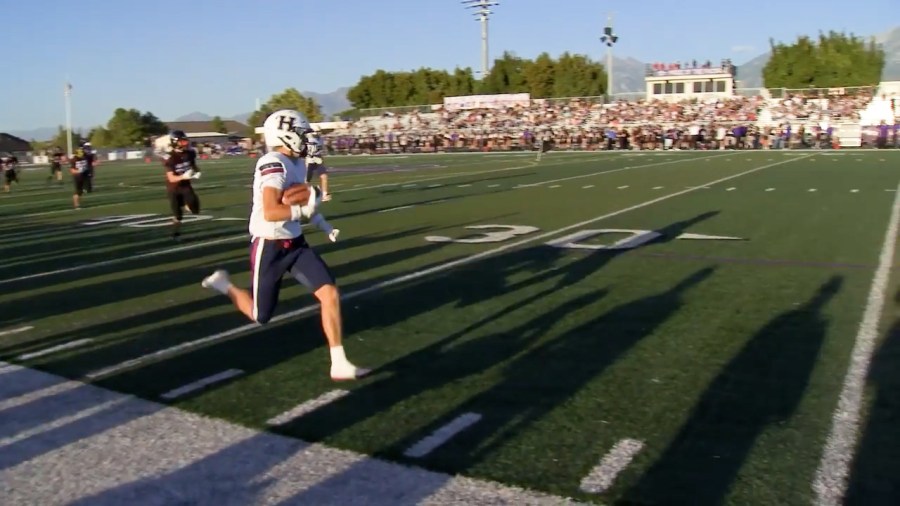 Beehive blitz — Week 4 scoreboard