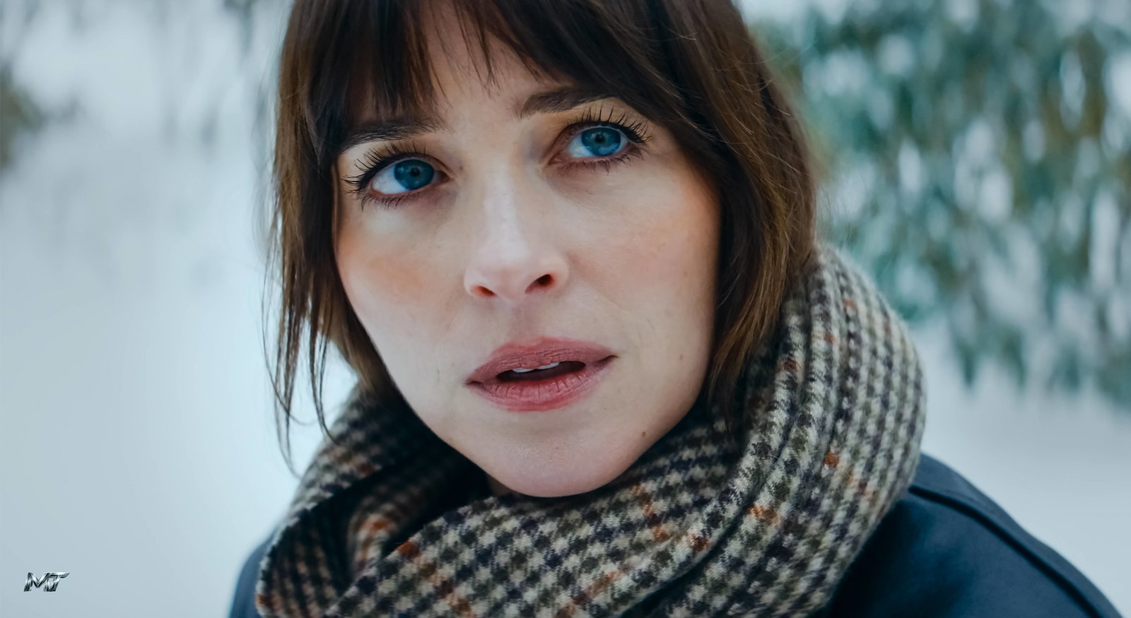 Dakota Johnson’s post-’Verity’ era is packed with these upcoming projects