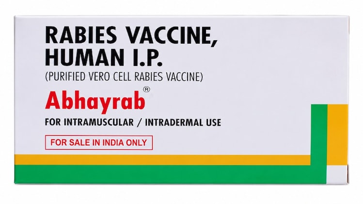 India's drug regulator flags rabies vaccine batch as substandard ...