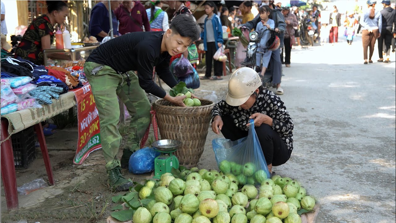 Off-grid Vietnam: guava market day 🧺