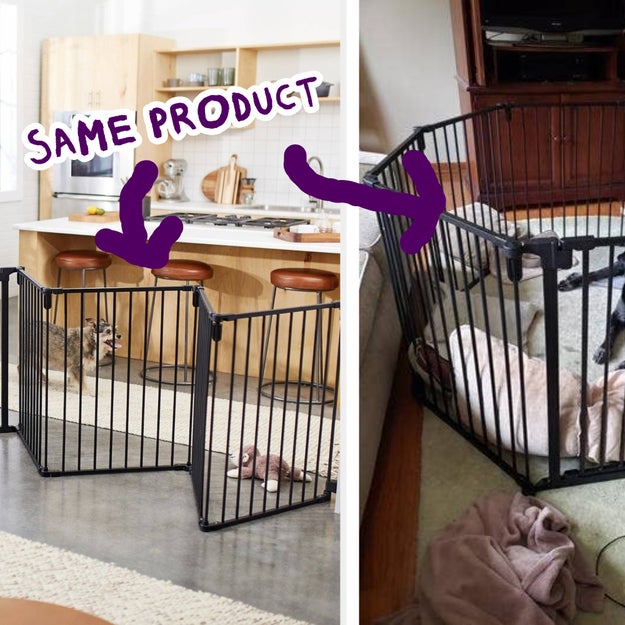 27 things from Chewy that deserve to be nominated for awards
