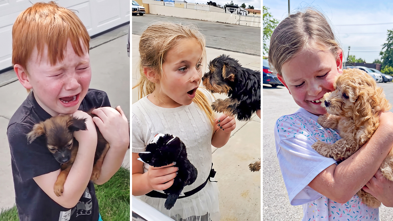 Kids meeting their new puppy for the first time