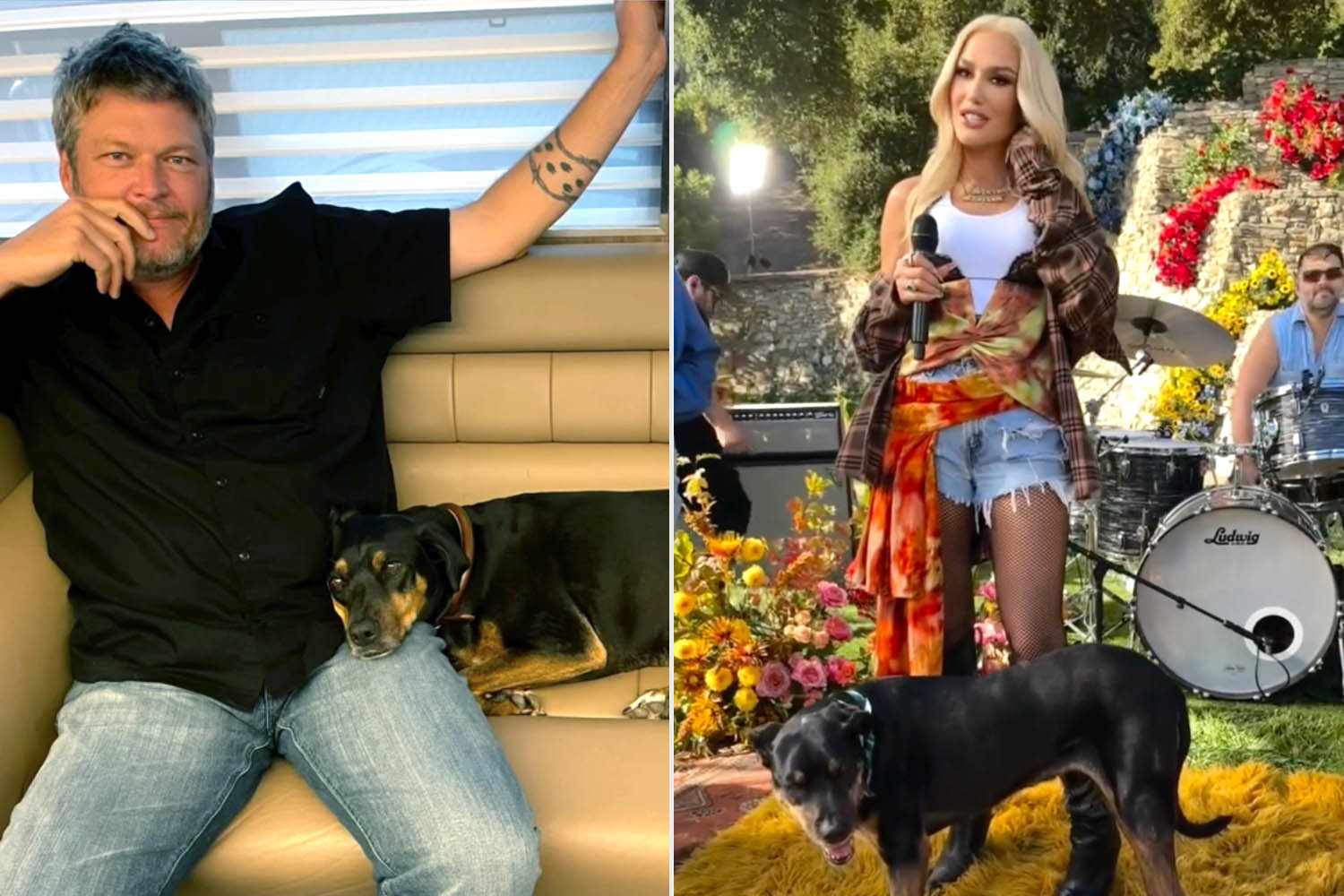 Blake Shelton and Gwen Stefani’s dog dies at 18: ‘Our sweet Betty has ...