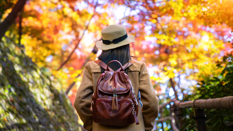 The best destinations in America to visit in November, according to travelers
