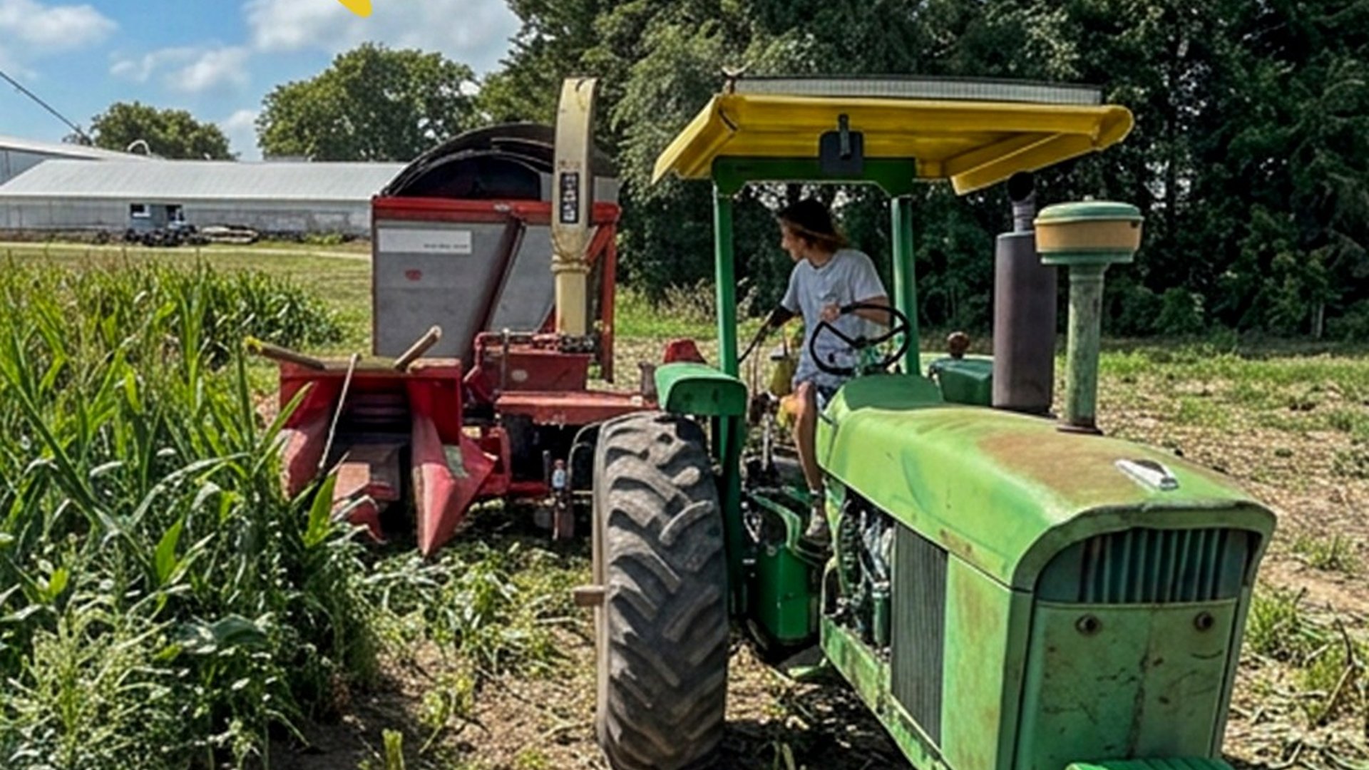 Farm girl cutting silage (part 2)