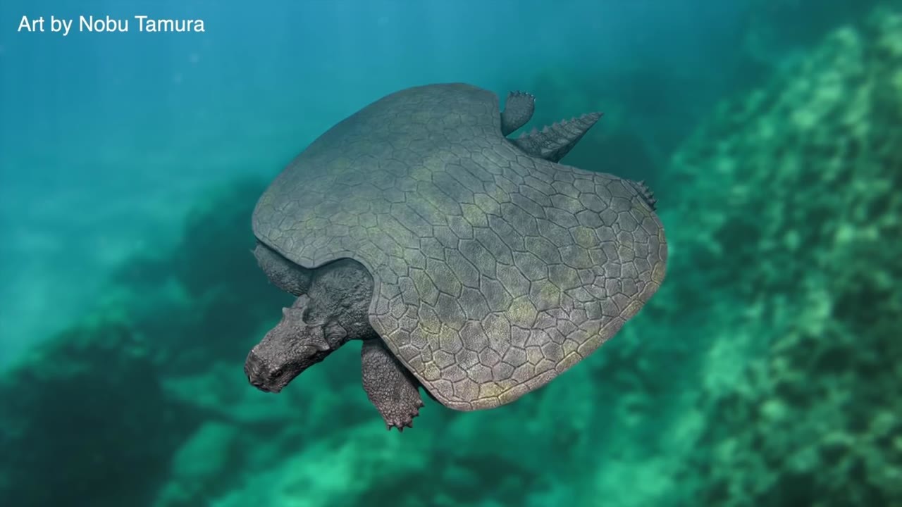 A 69-foot marine reptile ruled the seas long before the biggest dinosaurs