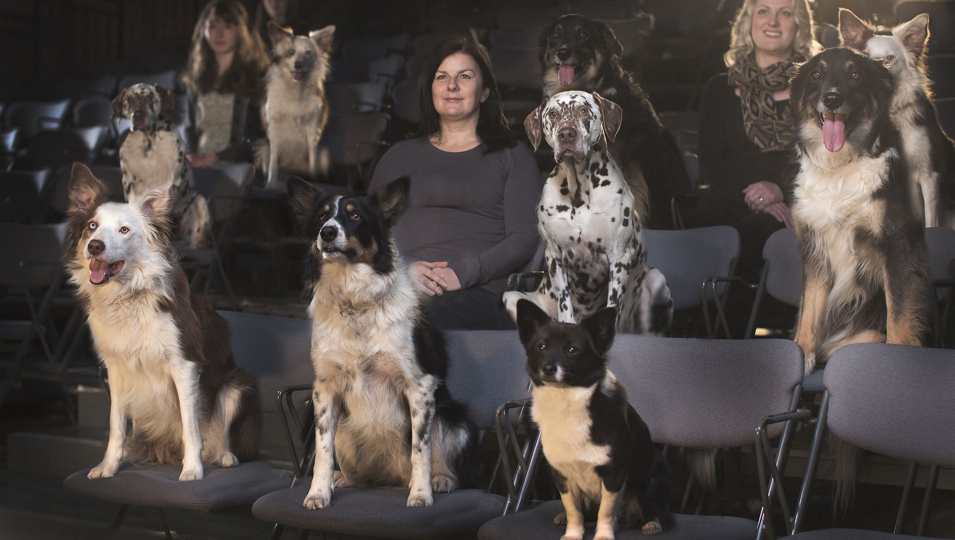 Great movies every animal lover needs to see