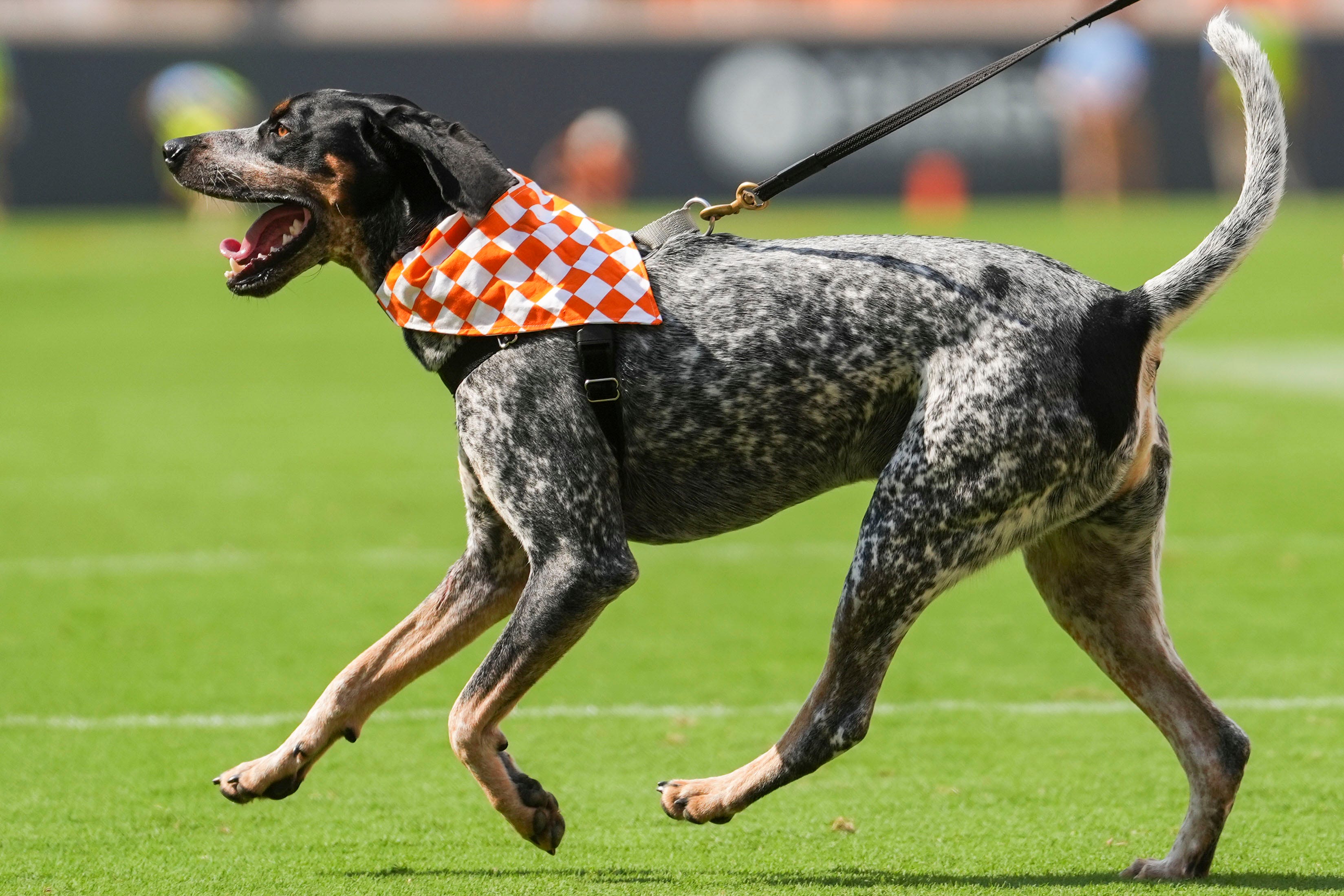 Tired of being left on the sidelines, Smokey XII strikes NIL deal