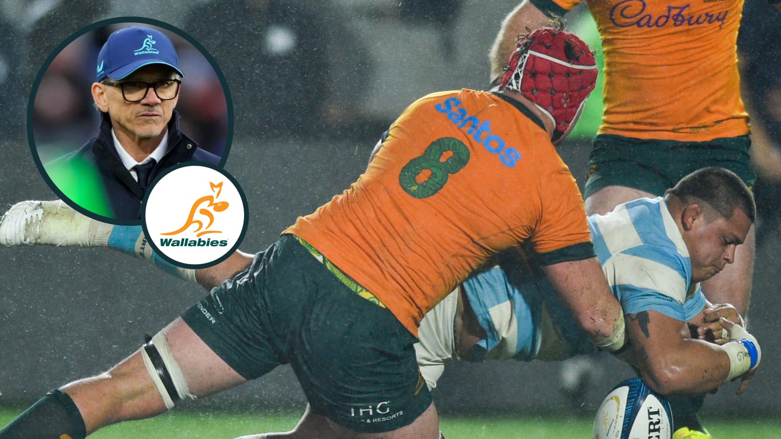 Wallabies player ratings v Argentina: ‘Busy back row' the standout in a draw hampered by ‘baby steps' attack