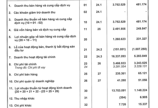 Doanh thu tài chính của Đầu tư Xây dựng Thái Sơn tăng mạnh - Ảnh: BCTC