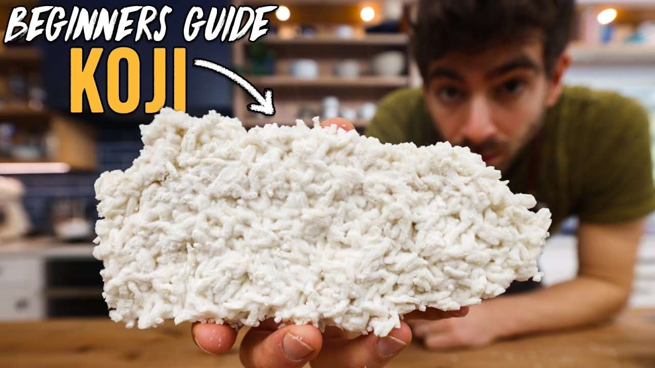 How to create rice koji easily