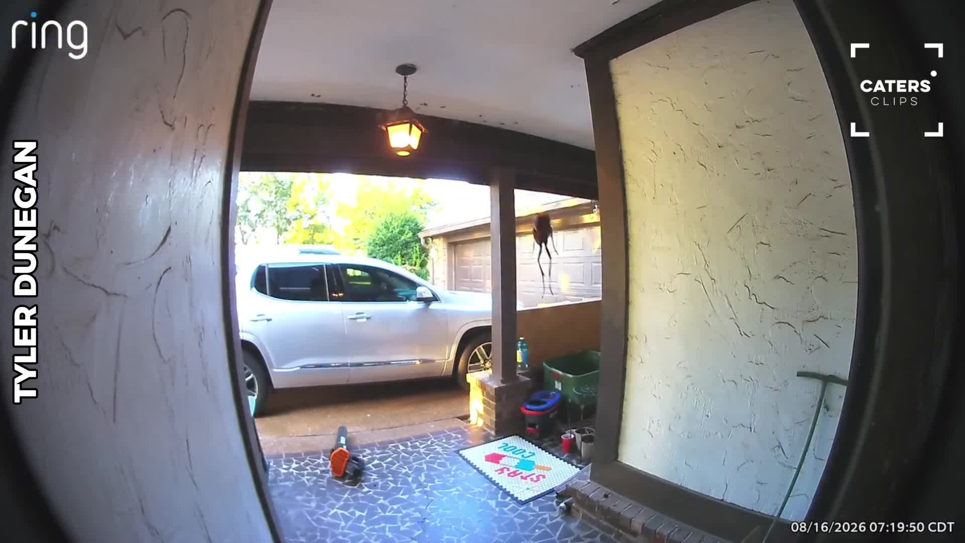 Ring cameras capture hilarious and unexpected moments