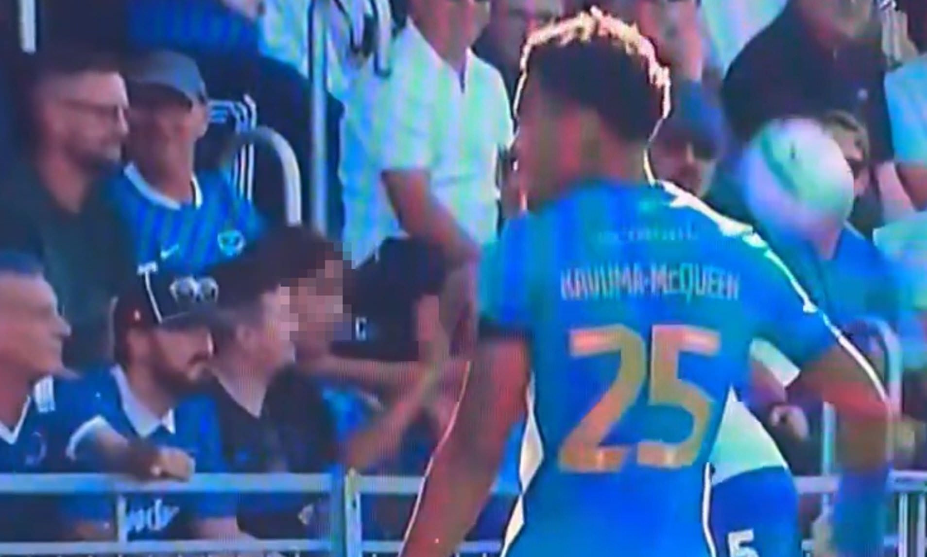 Police launch investigation into Cardiff City's ex-Arsenal star 'grabbing young fan by the throat'