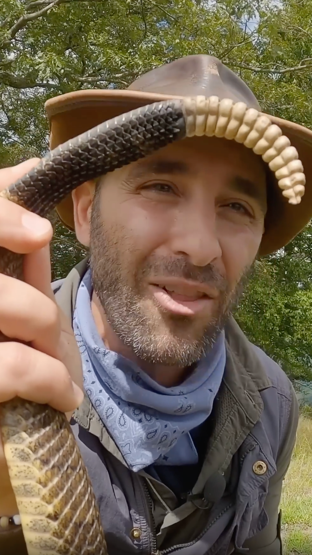 Coyote Peterson reveals what's inside a rattlesnake's rattle