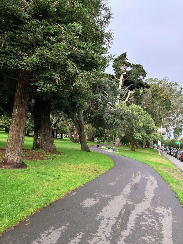 sf-panhandle-quiet-after-mountain-lion-sighting-unclear-where-animal-is