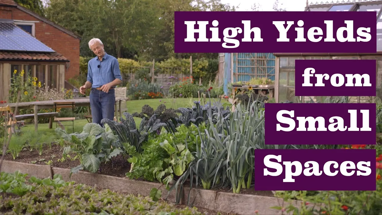 High yields from small spaces