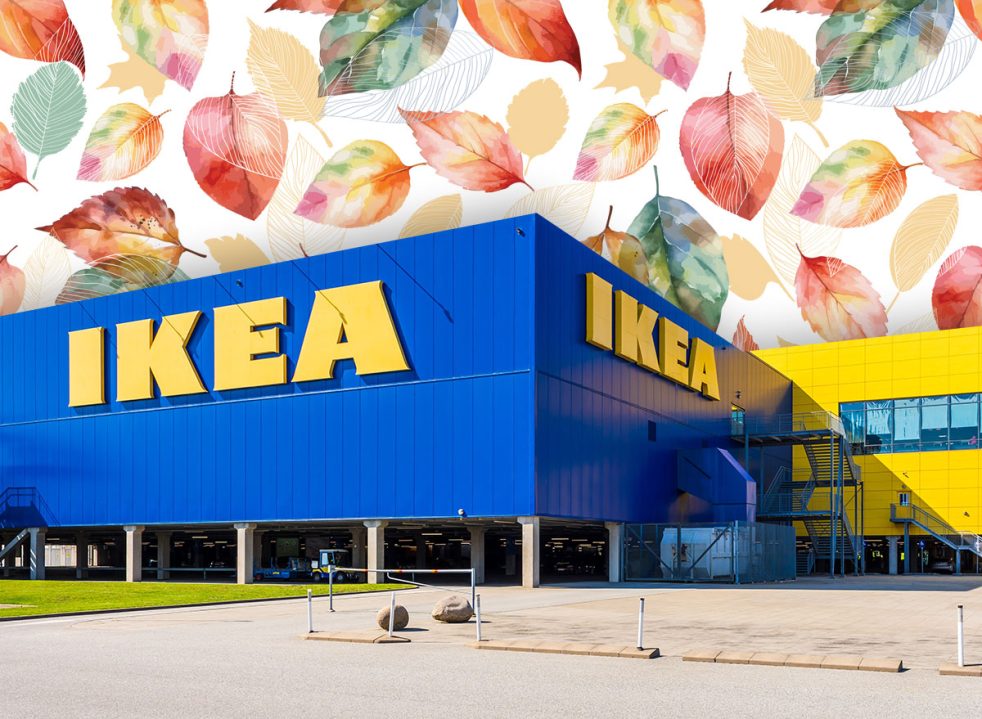 11 best new Ikea fall kitchen and dining finds under $25