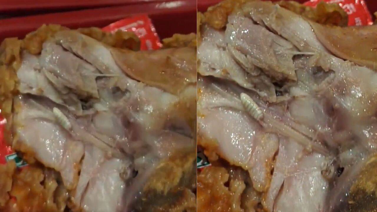 Horrible @KFC_India: Insect found inside deep-fried chicken, company ...