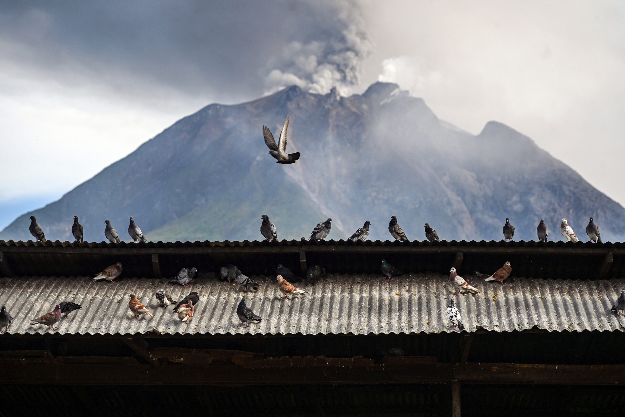 Indonesia’s main airport suspends operations after volcanic eruption