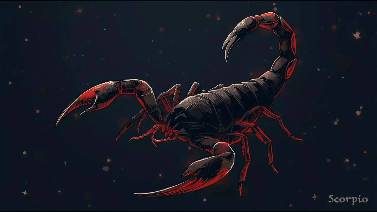 Scorpio horoscope tomorrow, 7 September 2026: Career, money, love and ...