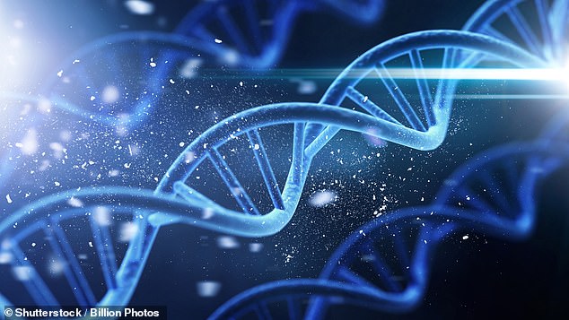 The clues in human DNA that prove life had an intelligent creator, according to a scientist