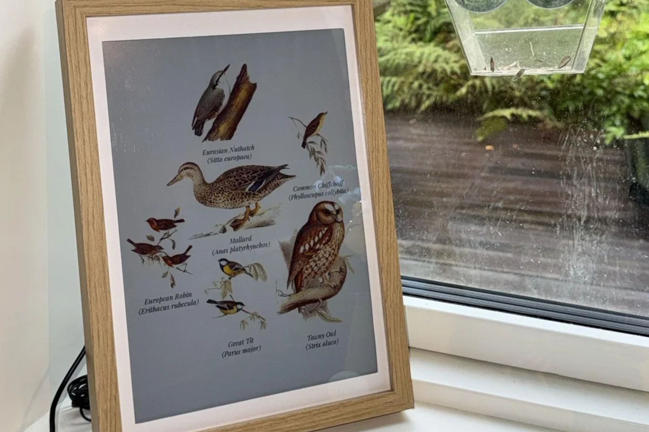This Raspberry Pi 5 e-ink project listens to your garden and draws the ...