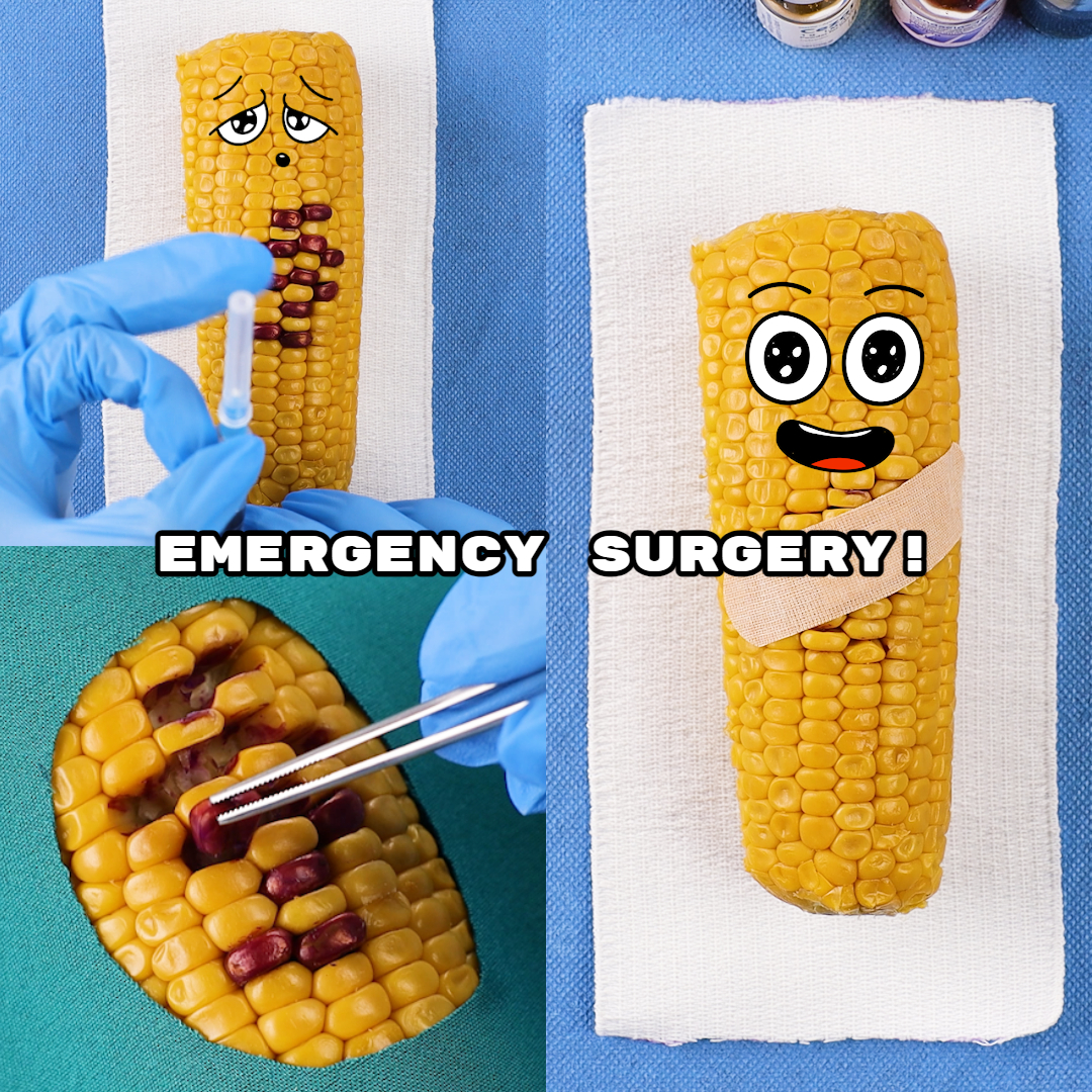 le-ma-s-a-besoin-d-une-chirurgie-d-urgence