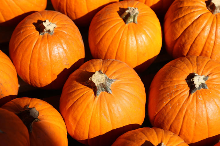 Volusia County Fire Rescue warns of fire hazards during Halloween ...