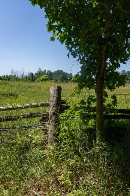 8 property line rules homeowners often get wrong, according to legal ...
