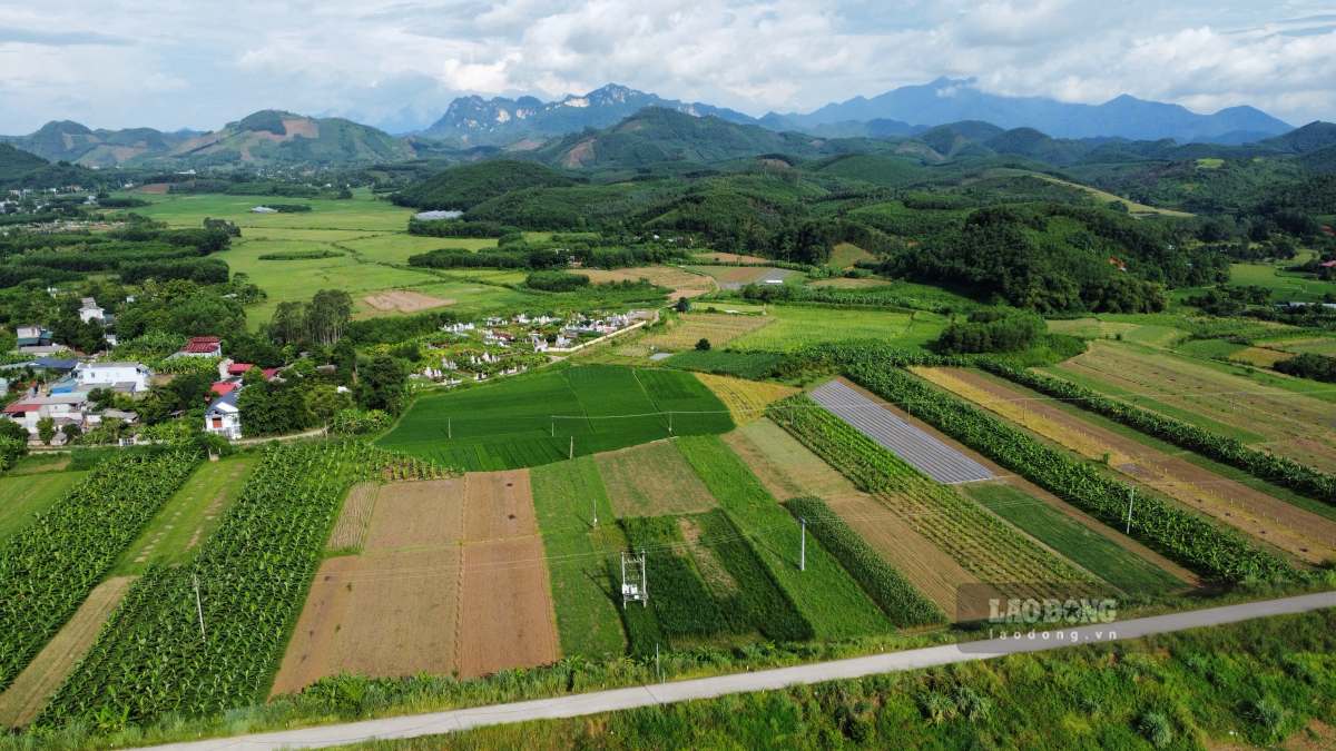 Sau sáp nhập, nhiều xã tại Tuyên Quang có diện tích nhỏ hơn tiêu chuẩn