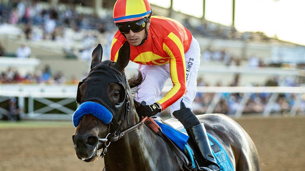 Del Mar debutante winner Miss Monica horse to watch for Breeders' Cup