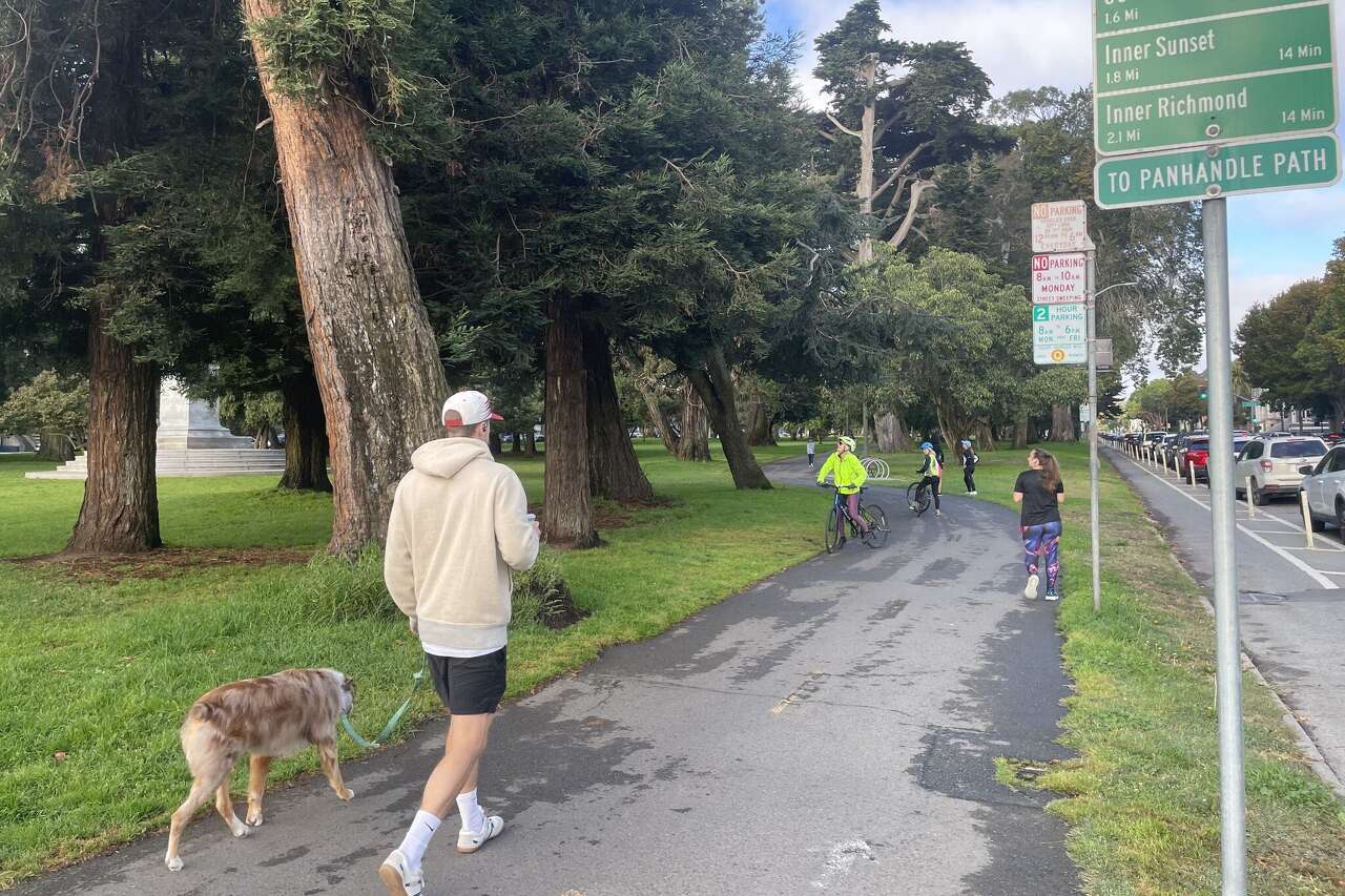 san-francisco-s-mountain-lion-wandered-away-animal-experts-say-is-it