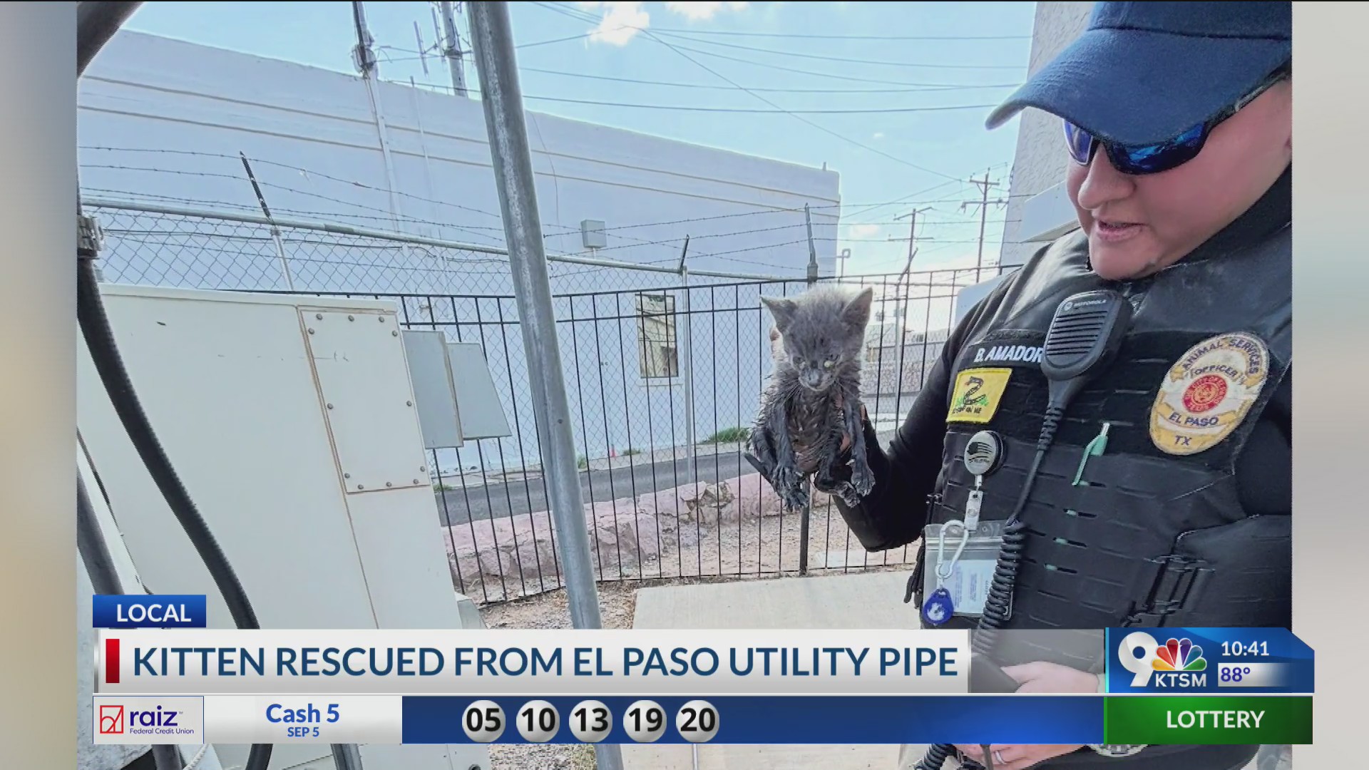 Kitten rescued from utility pipe, finds new home
