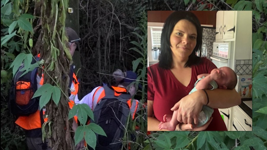 Search parties take cadaver dog into wooded area near missing Nashville mother's last known location