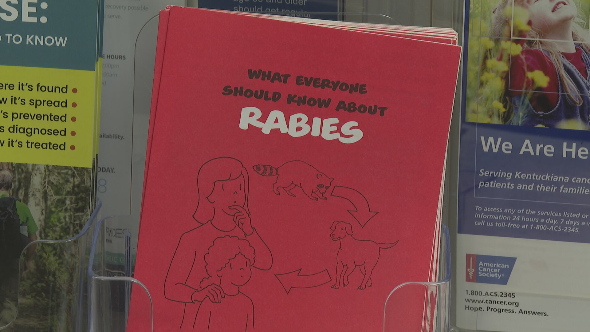 Virginia health leaders track uptick in rabies cases