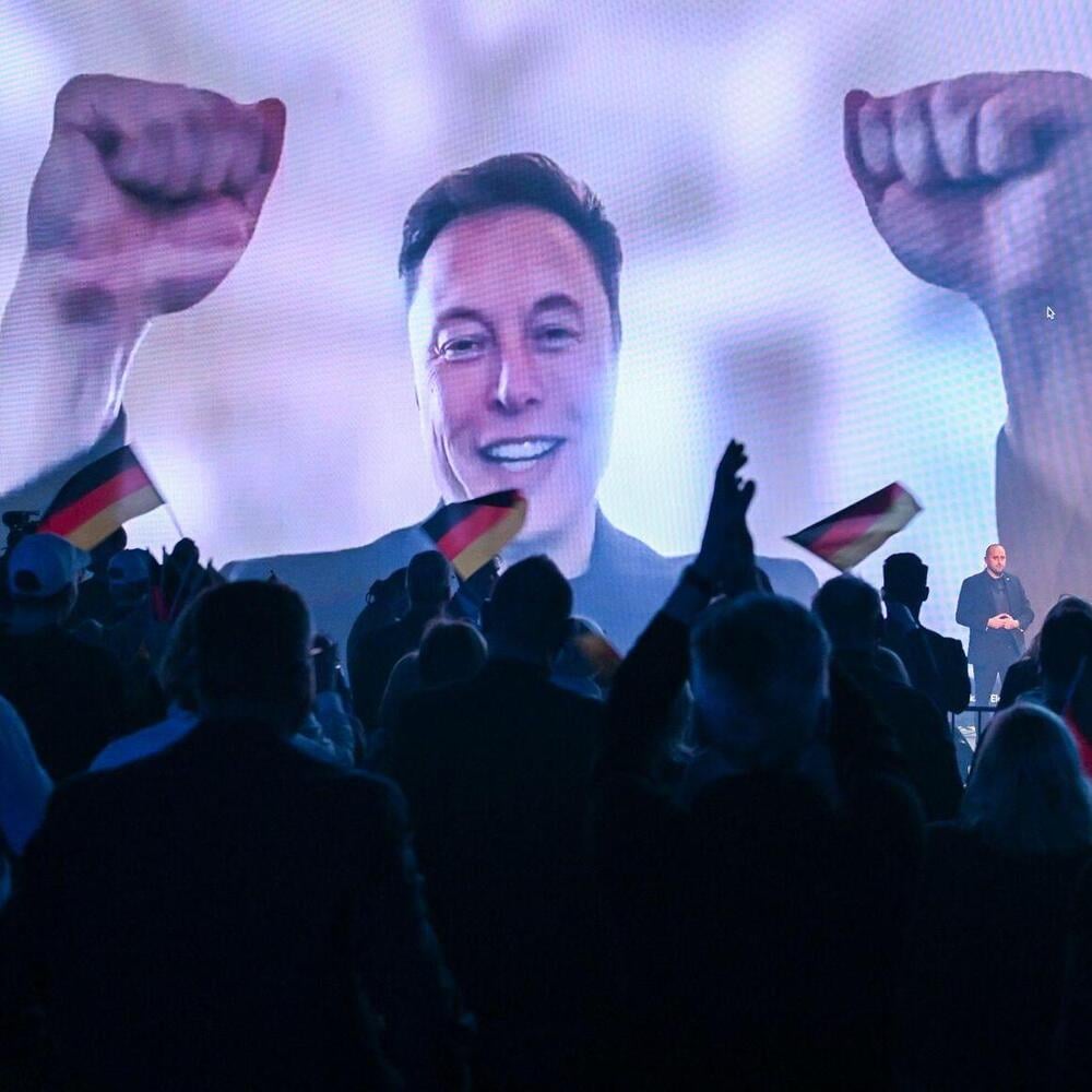 „Gut gemacht!“: Elon Musk gratuliert AfD zum Wahlsieg in Sachsen-Anhalt